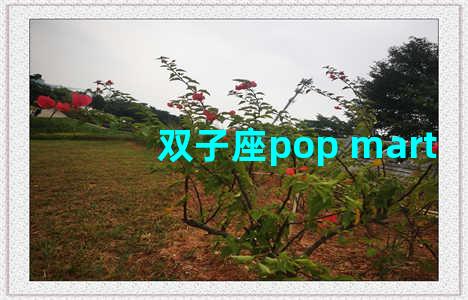 双子座pop mart